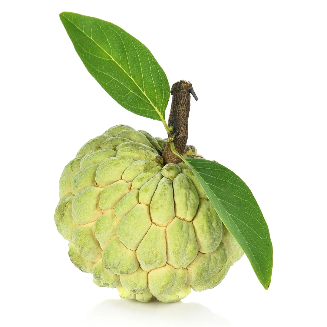 custardapple1
