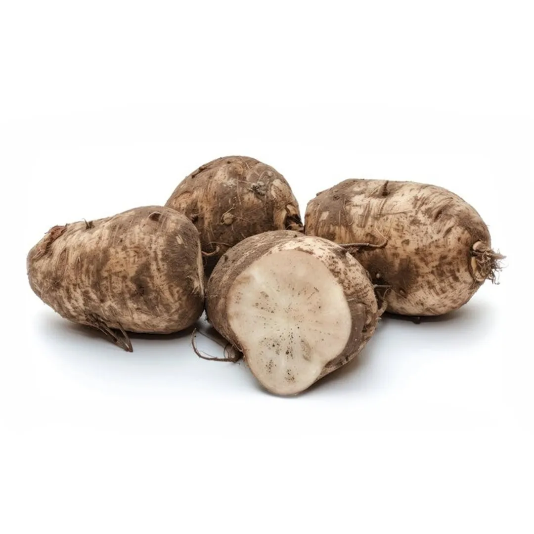 Elephant Yum (Suran) 1